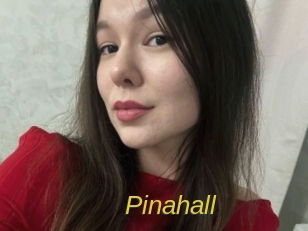 pinahall Archive DVD ORG