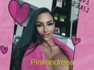 pinkandreea Archive DVD ORG