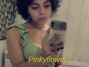 pinkyflowers Archive DVD ORG