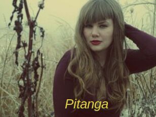 Pitanga