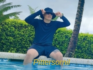 pittersornil Archive DVD ORG