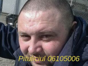 Pituliciul-06105006