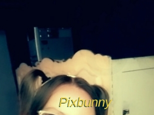 Pixbunny
