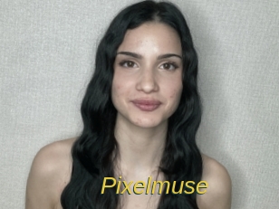Pixelmuse