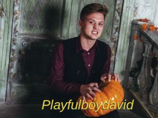 Playfulboydavid