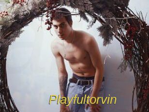 Playfultorvin