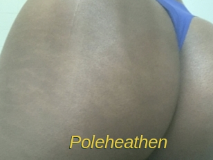 poleheathen Archive DVD ORG