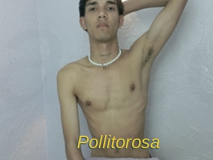 Pollitorosa