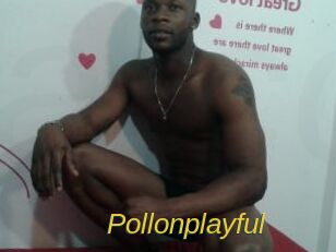 Pollonplayful