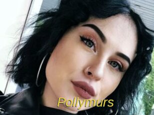 Pollymurs