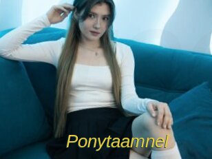 Ponytaamnel