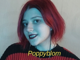 Poppyblom