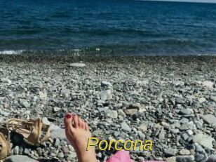 Porcona