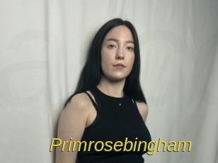 Primrosebingham