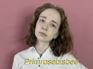 Primrosebisbee