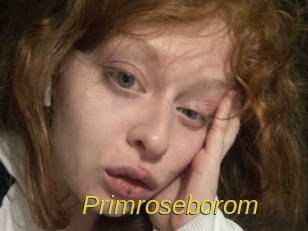 Primroseborom