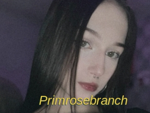 Primrosebranch