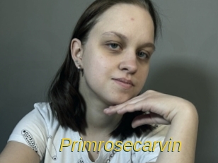 Primrosecarvin
