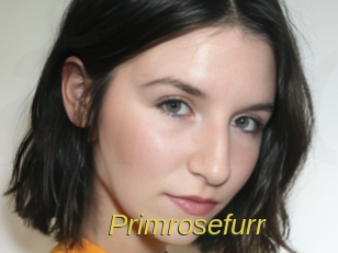 Primrosefurr