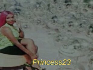 princess23 Archive DVD ORG