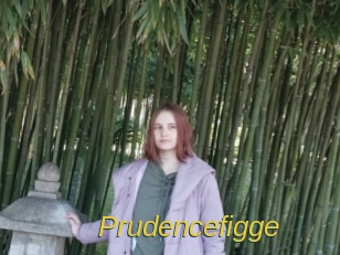 Prudencefigge