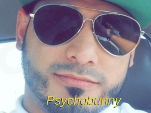 psychobunny Archive DVD ORG