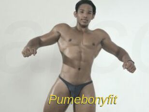 Pumebonyfit