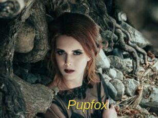 Pupfox