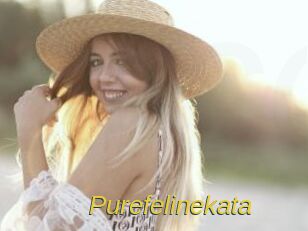 purefelinekata Archive DVD ORG
