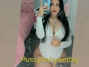 Pussyhairywetbig