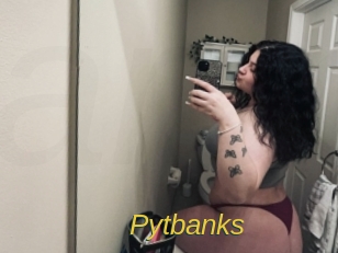 Pytbanks