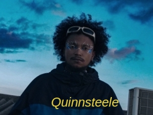 quinnsteele Archive DVD ORG