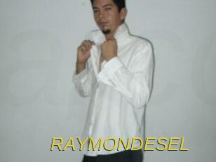 RAYMONDESEL