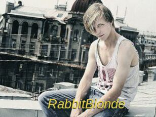 RabbitBlonde