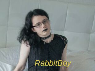RabbitBoy