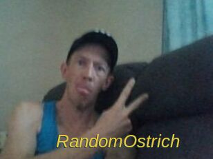 RandomOstrich Archive DVD ORG
