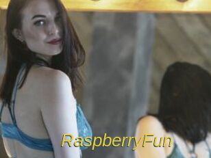 RaspberryFun