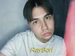 RayBori Archive DVD ORG
