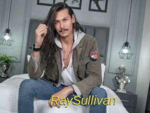 RaySullivan