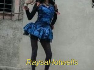 RaysaHotwells Archive DVD ORG