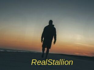 RealStallion