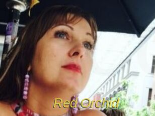 Red_Orchid