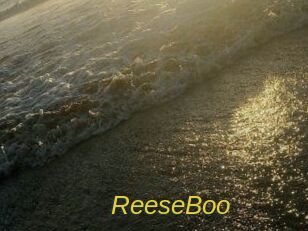 ReeseBoo