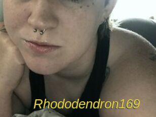 Rhododendron169