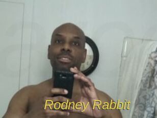Rodney_Rabbit