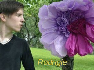 Rodrigie
