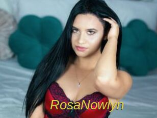 RosaNowlyn Archive DVD ORG