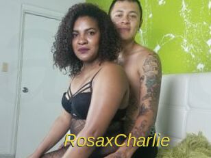 RosaxCharlie Archive DVD ORG