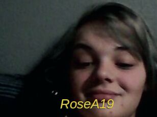 RoseA19