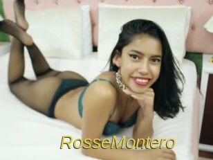 RosseMontero Archive DVD ORG